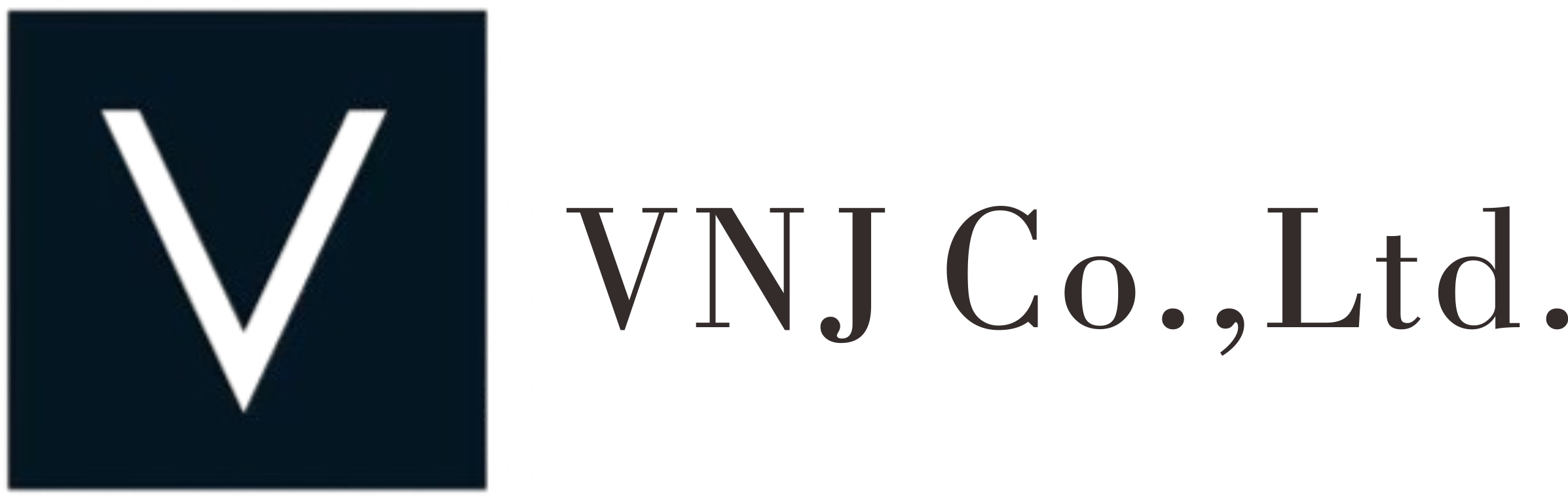 VNJ株式会社